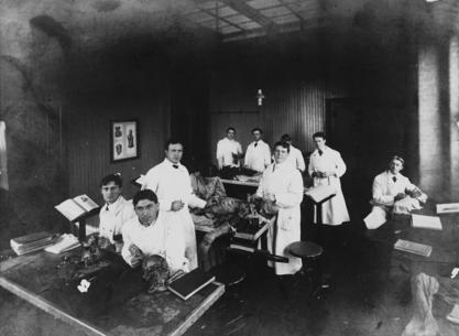 Florence Sabin (seated, middle table) teaching anatomy, Johns Hopkins University School of Medicine, early 1900s