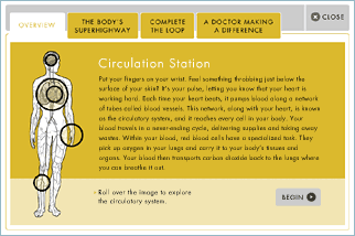 Activity: Circulation Station